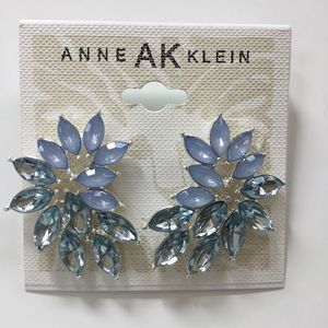 Stunning Anne Klein Silver/Blue Opal Earrings.🌹